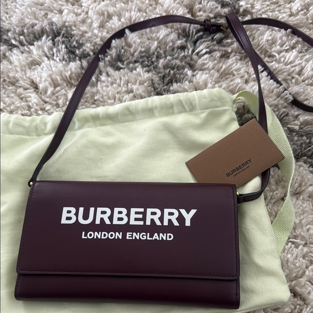 Burberry Brown Crossbody Bag with Iconic Design
